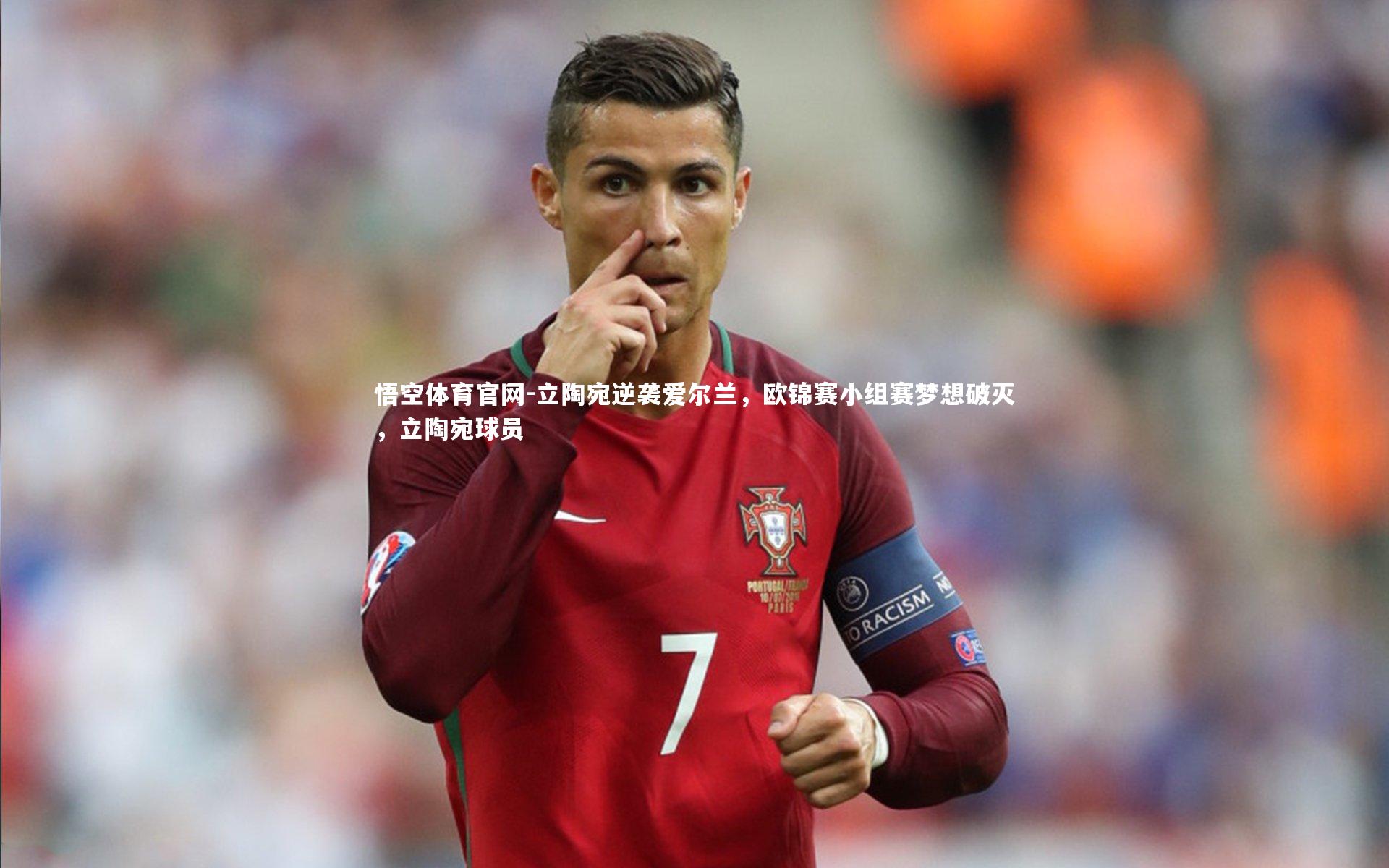 立陶宛逆袭爱尔兰，欧锦赛小组赛梦想破灭，立陶宛球员