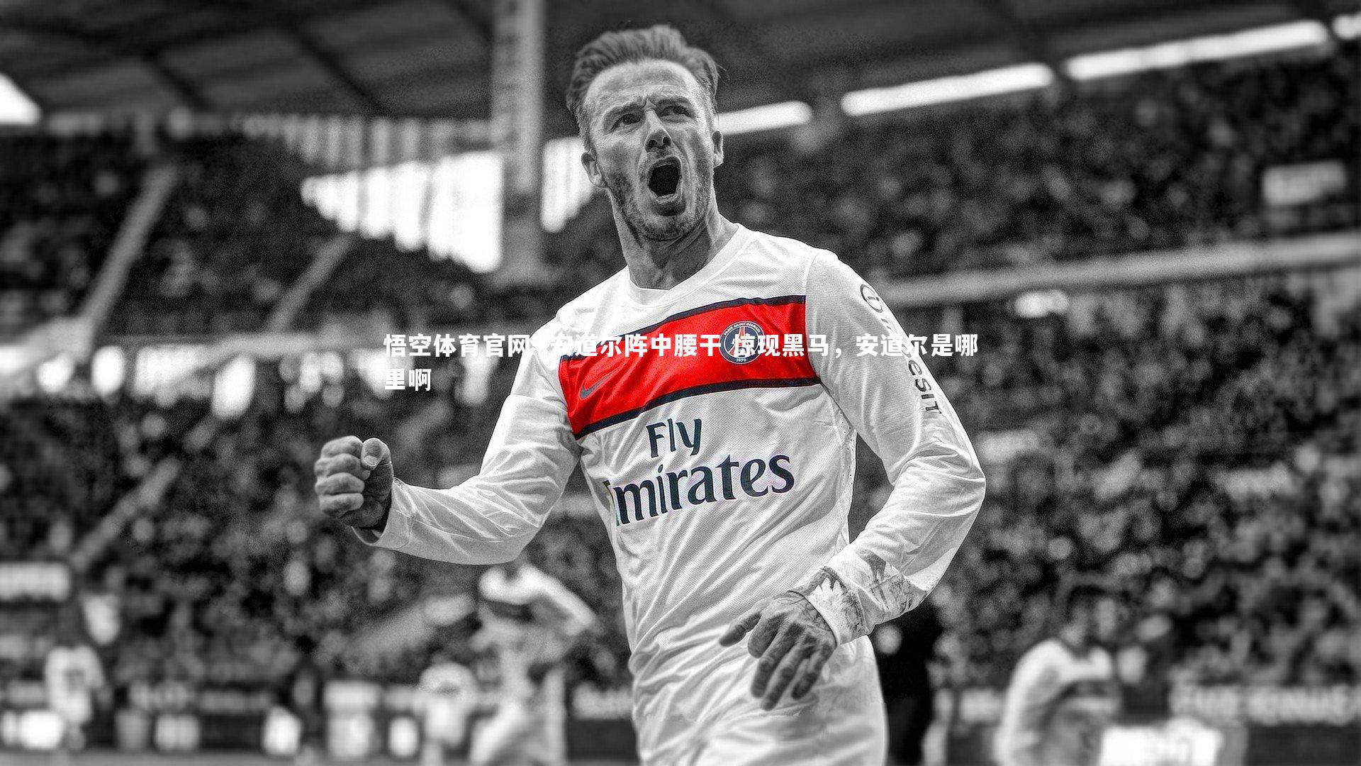 .安道尔阵中腰干 惊现黑马，安道尔是哪里啊